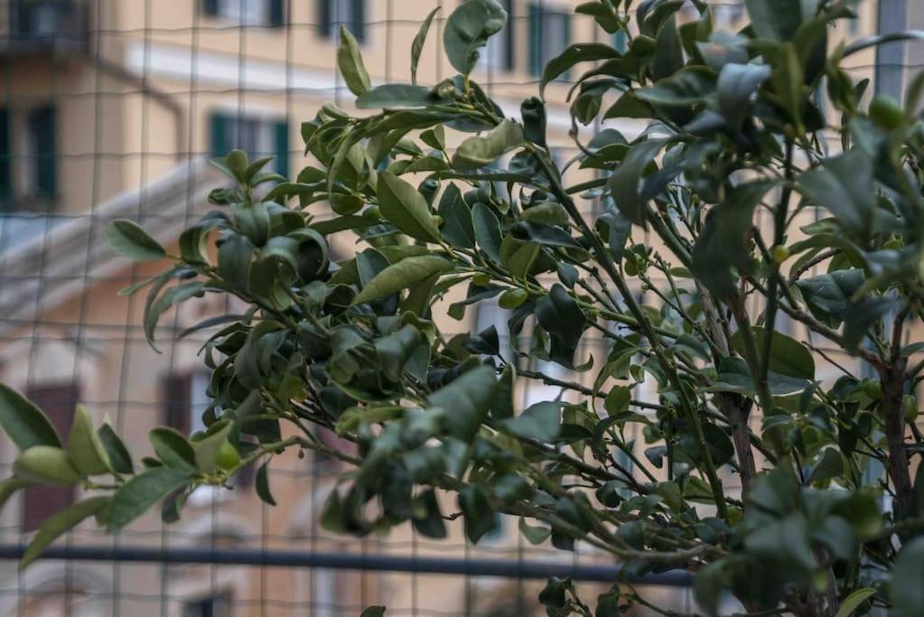 Rosy'S House Un Attico A Due Passi Dall'Acquario Parking Free Apartment Genoa Luaran gambar